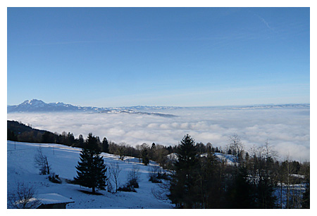 p1000847.jpg